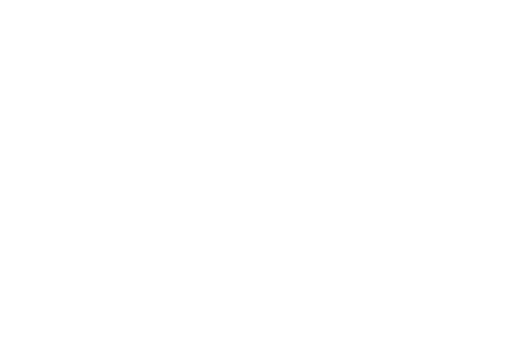 Official Selection - Detroit Black Film Festival 2022