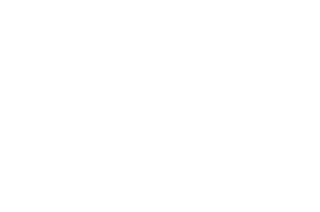 Official Selection - Fort Lauderdale International Film Festival 2022