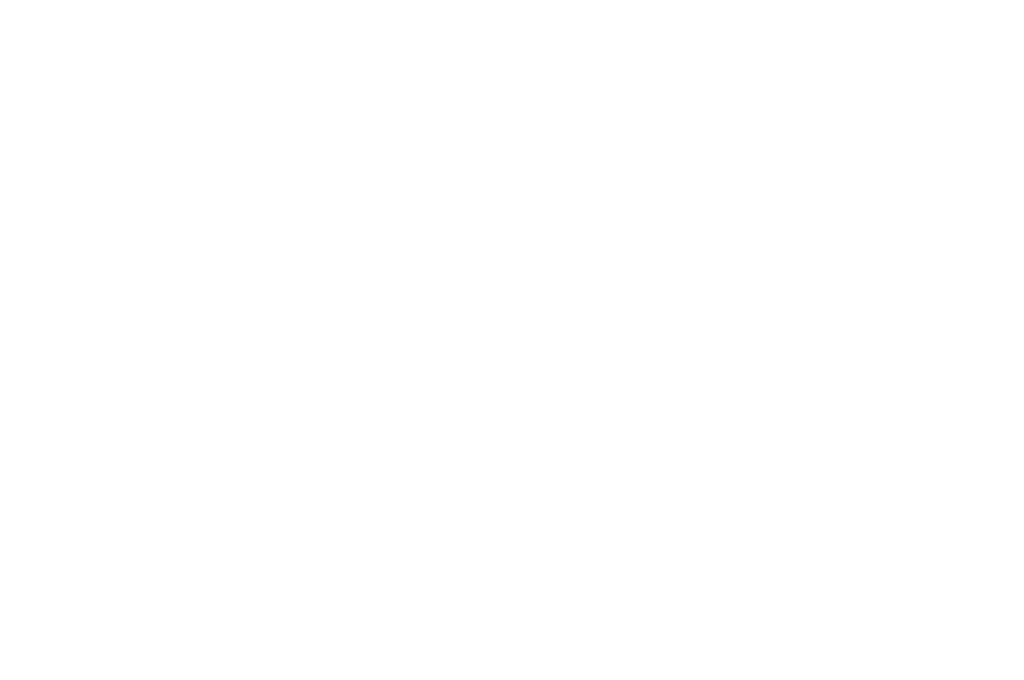 Official Selection - Montreal International Animation Festival 2022